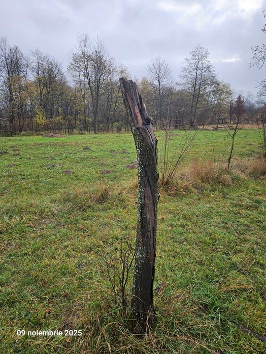 Lemne de vânzare în Pietroșani, județul Argeș.