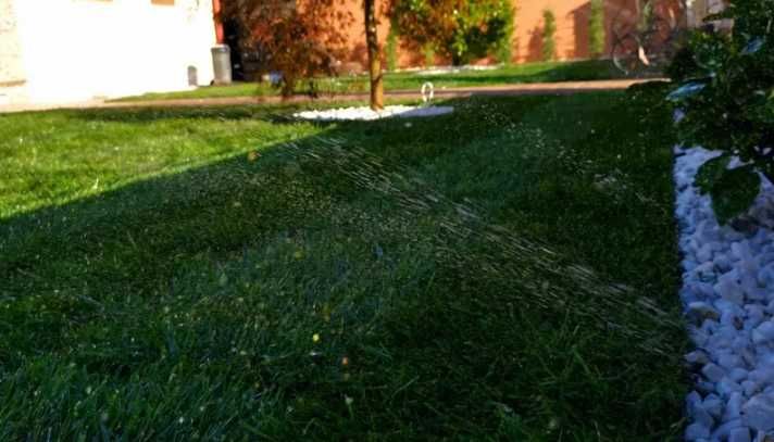 Gazon Rulou Sport premium