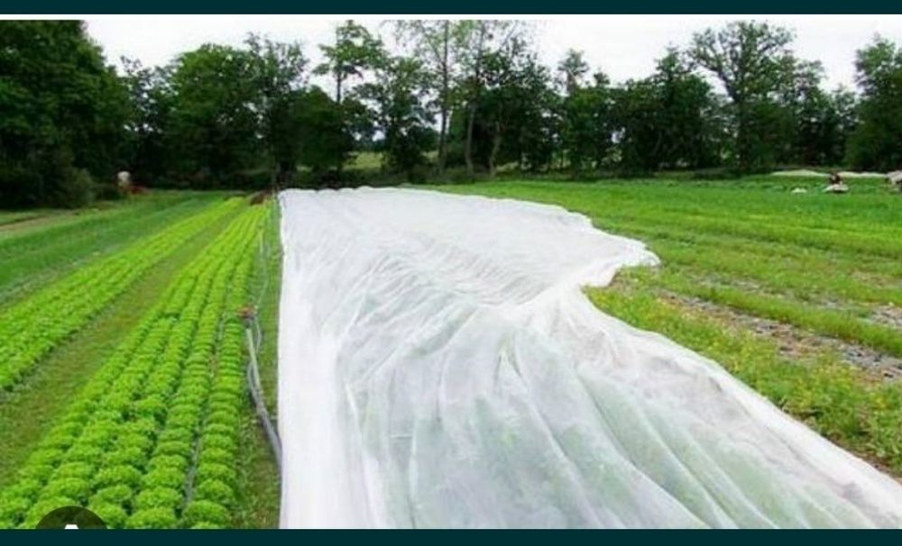 Агроволокно ишлаб чикарамиз