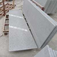 Granit gri deschis g603