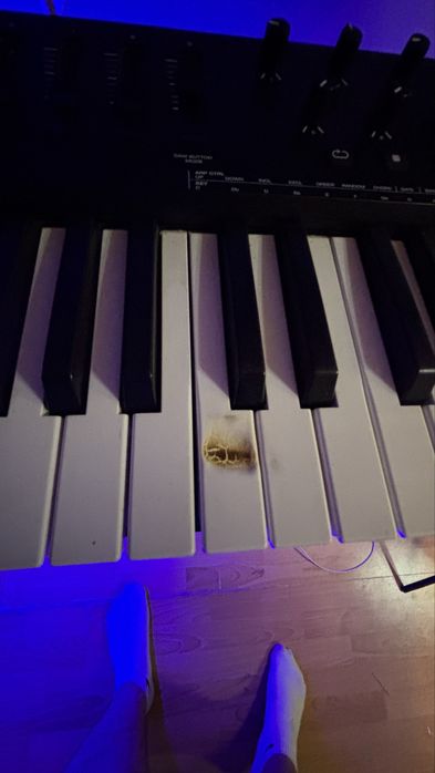 MIDI-клавиатура M-Audio Oxygen 61 MKV