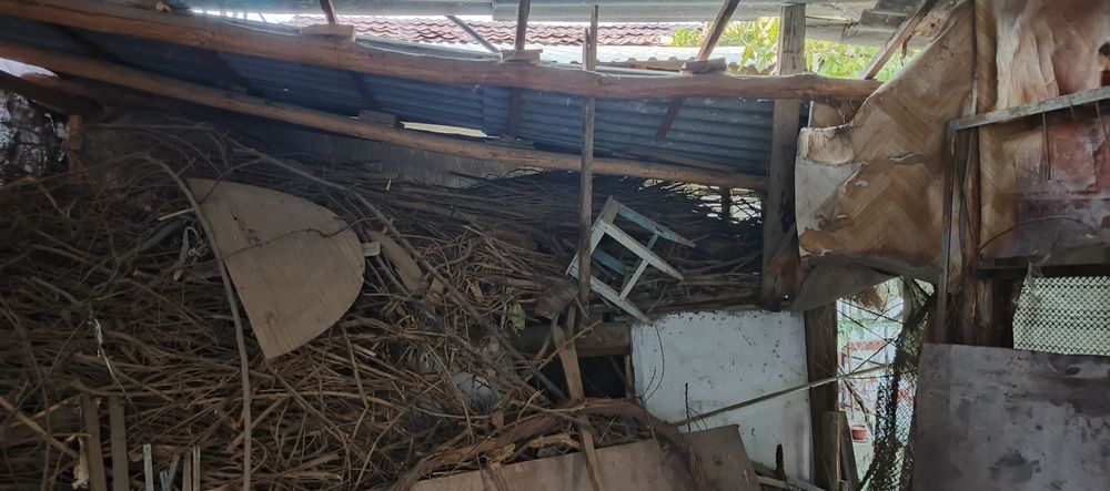 Утин текинга берворилади шох шабба тандирга Зур куриган