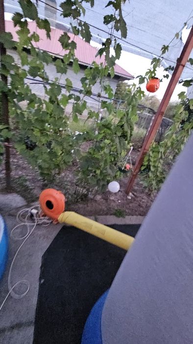 Castel gonflabil Happy Hop Big House