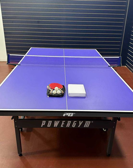 Hастольный теннис Т-202|Stol tennis T-202|Доставка имеется!