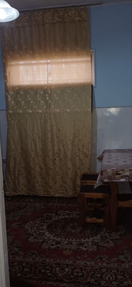 1хонали сергели 300$
