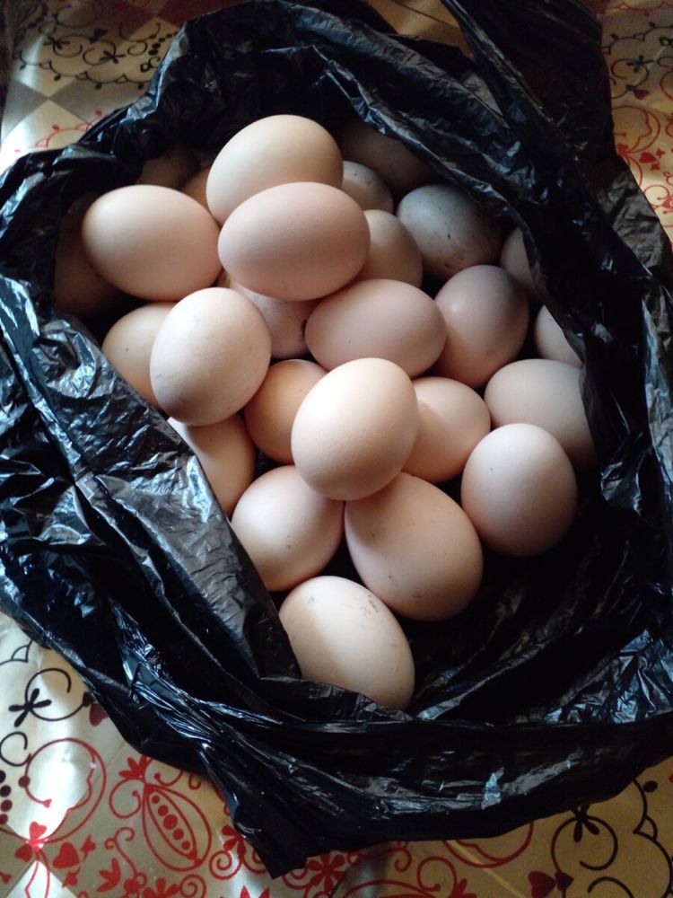 Продам домашние яйца цена за одну 60 тг