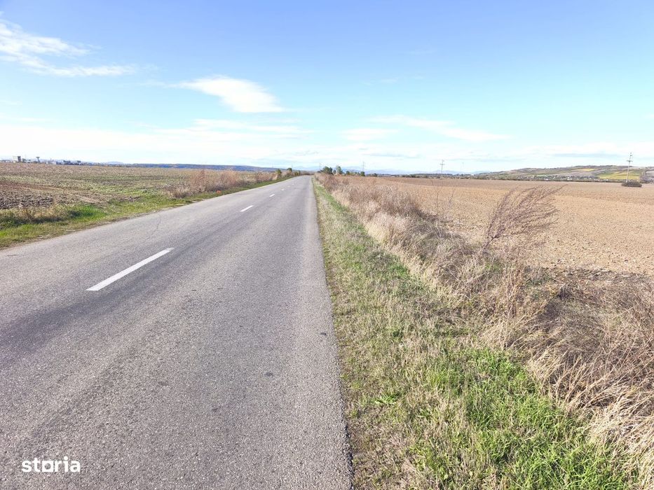 ROANDY - Teren de vanzare in Bucov