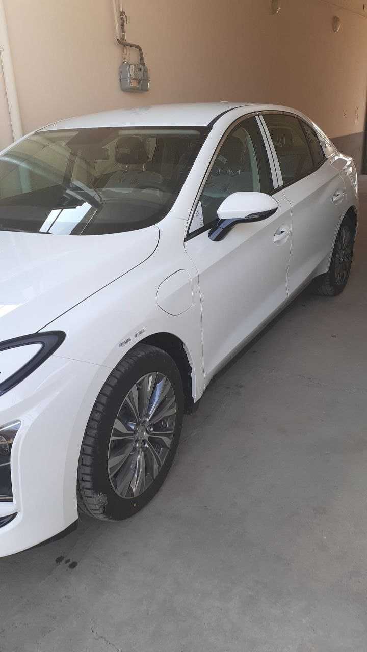 HONGQi E-QM5 500 km OQ