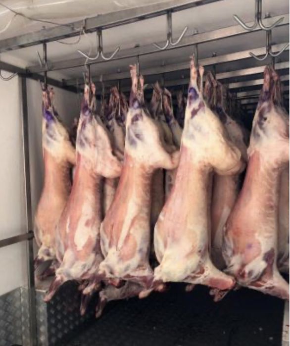 Установки морозильных агрегатов