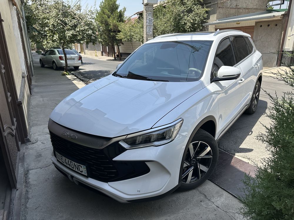 Byd song pro DM 2024