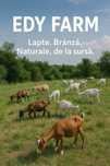 Lapte si branza de capra