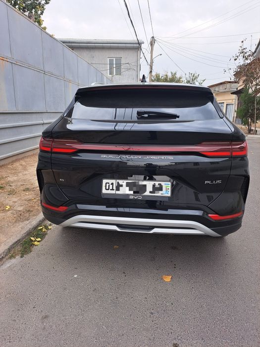 Chinpion   605  talik  flagship