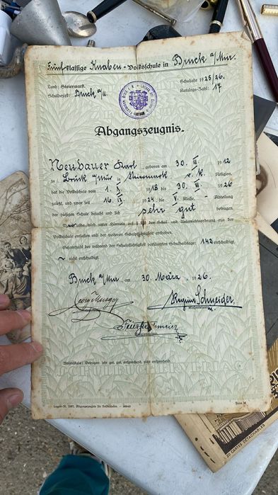 Acte Germania nazista +CEC si poze