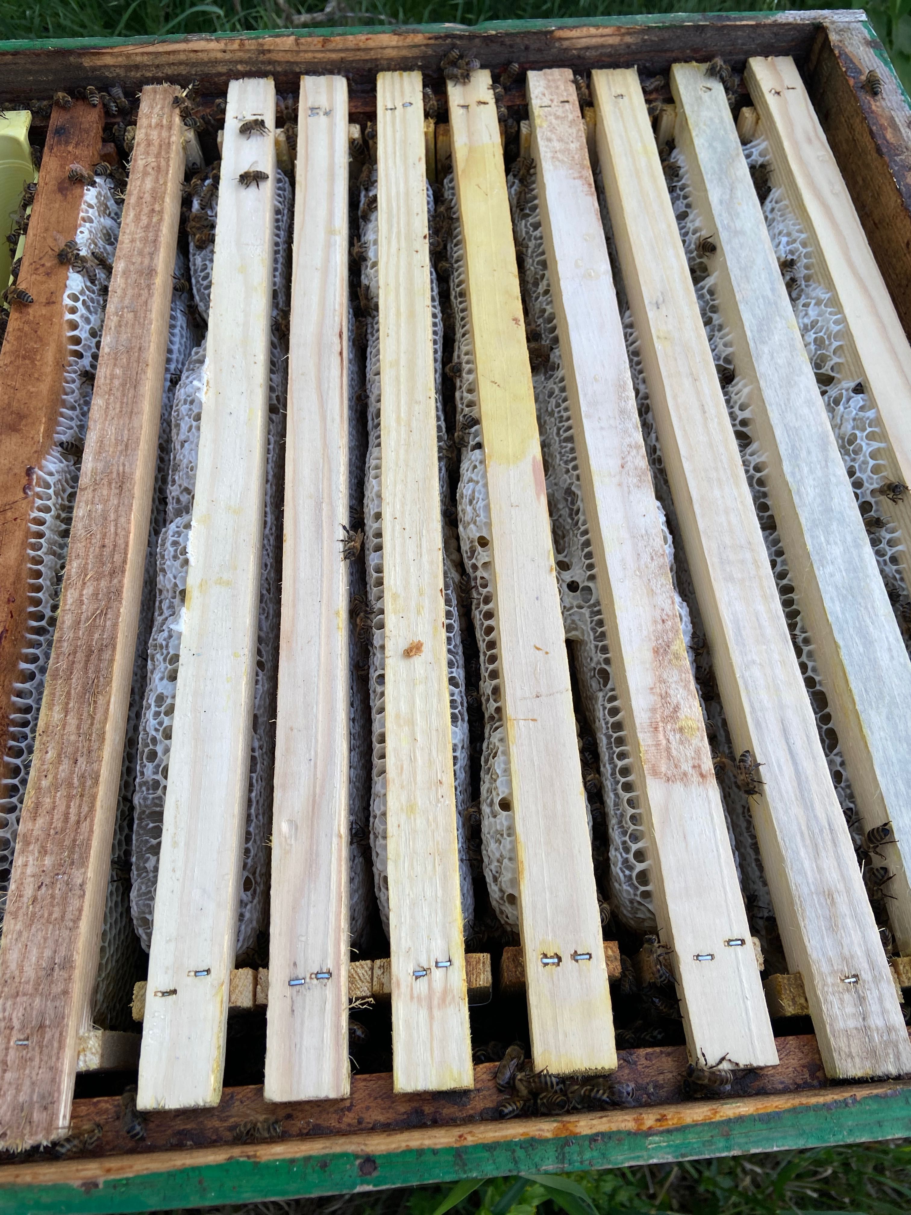 Miere de la producator