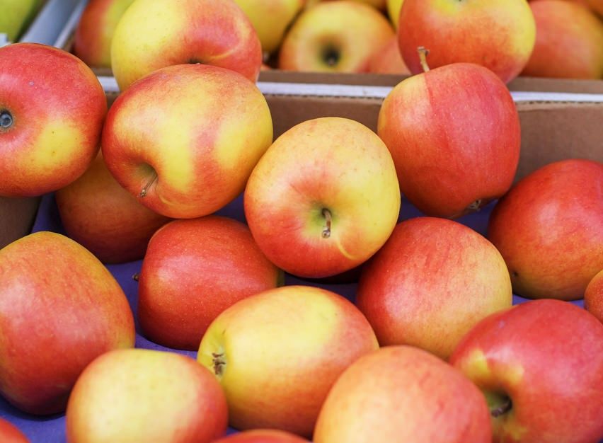 Pomi Fructiferi deosebiti  mar red melba