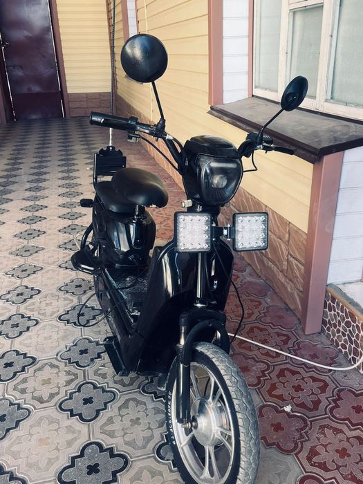 Скурет  ляпарддд