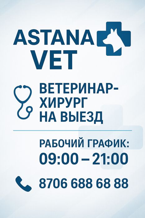 Ветеринар хирург на выезд