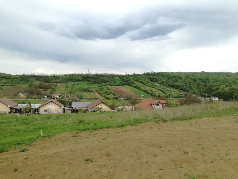 Loturi de casa in Uricani langa padure 55 euro/mp