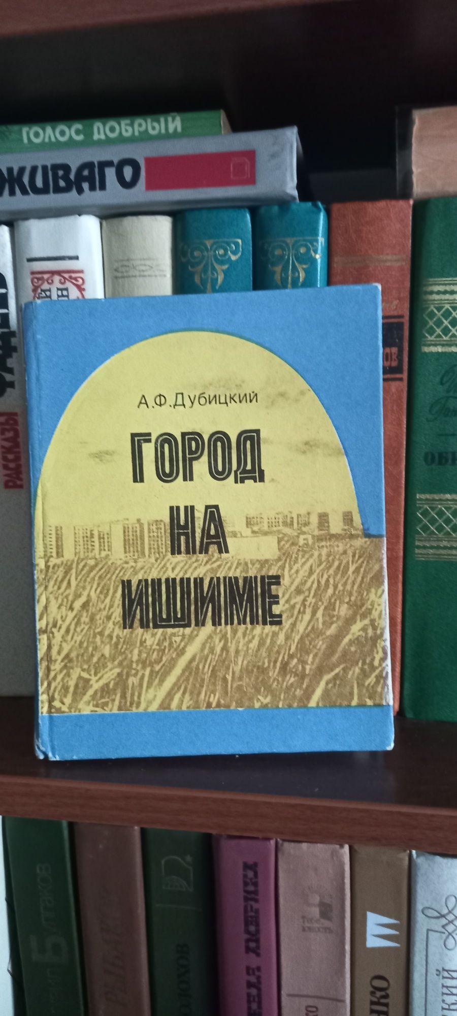 Город на Ишиме книга