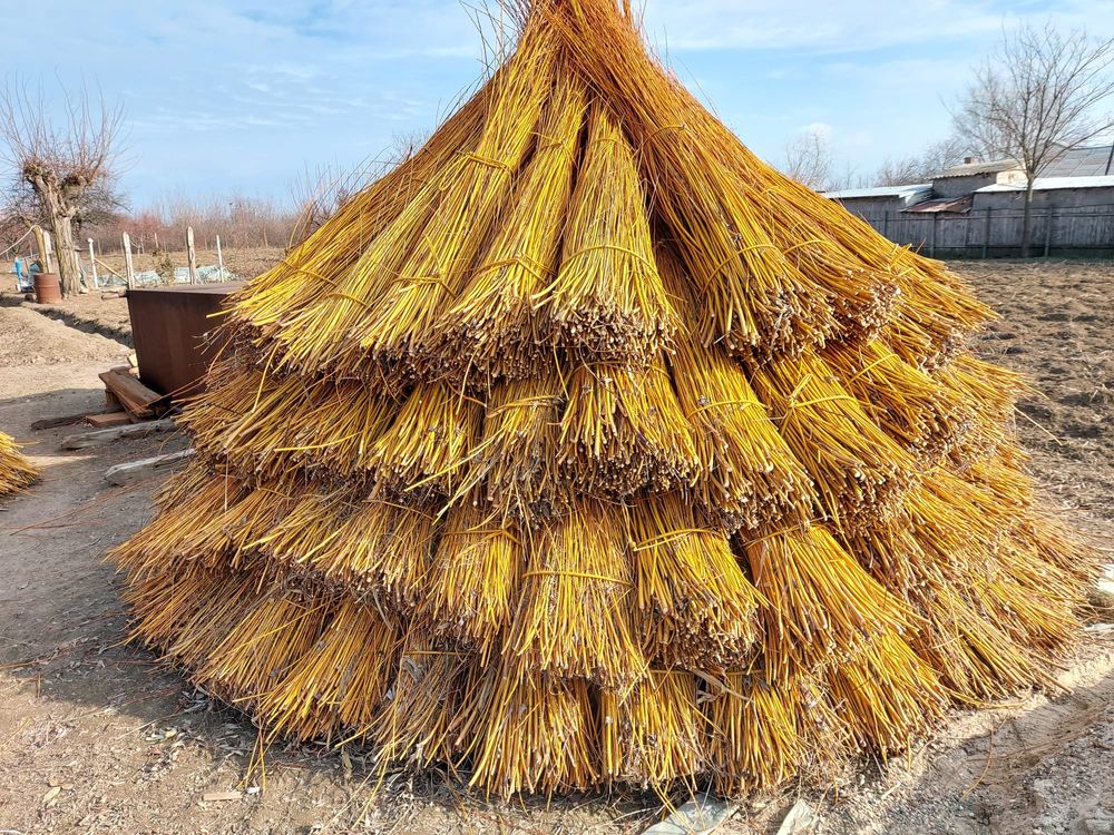 Nuiele/mlaja din rachita (Willow Branches) Suraia