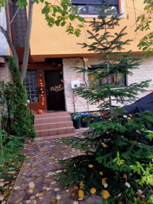 Casa cocheta cu parter, etaj si pod amenajat.