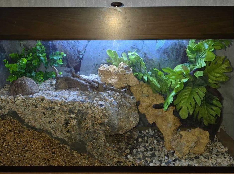 Продается акватеррариум для  крабов, тритонов, водных черепах.