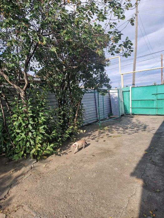 Продается дом, г. Тобыл