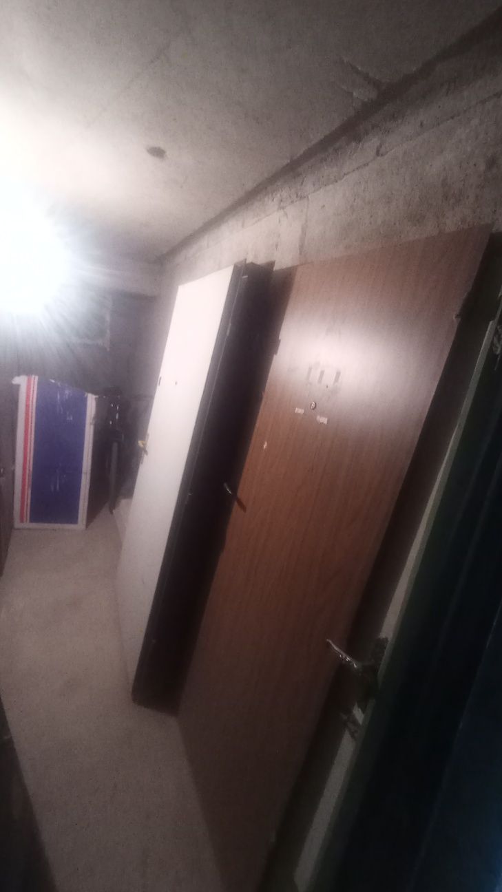 Метални  входни врати