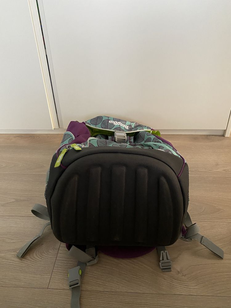 Комплект раница ErgoBag Pack