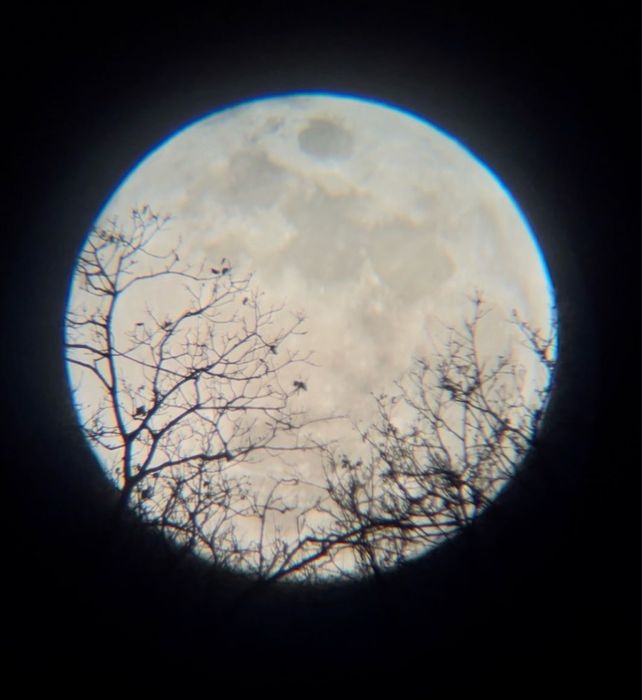 vand telescop seben star commender 60/900