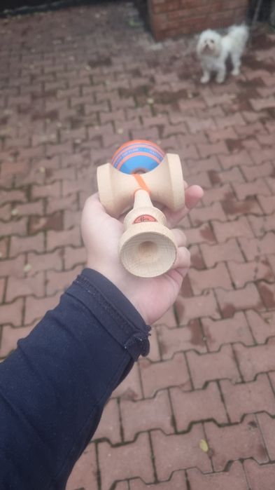 Kendama europe Record Plus Raijin Mc