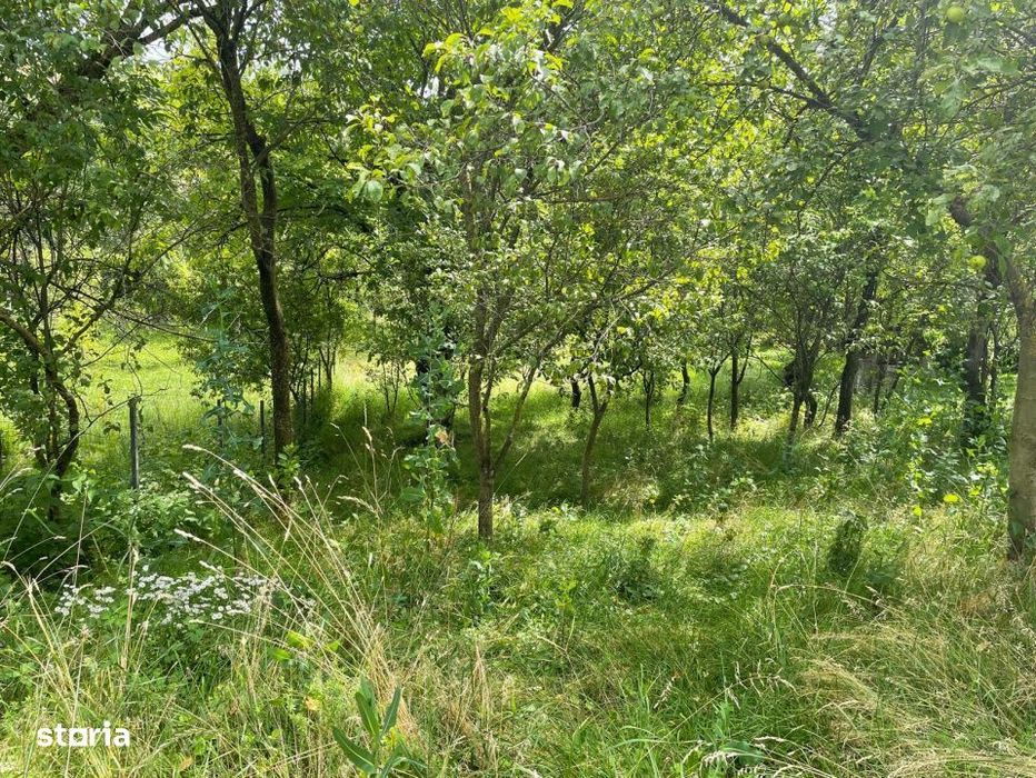 Teren Intravilan, EXCULSIVITATE, 768 mp, Oportunitate