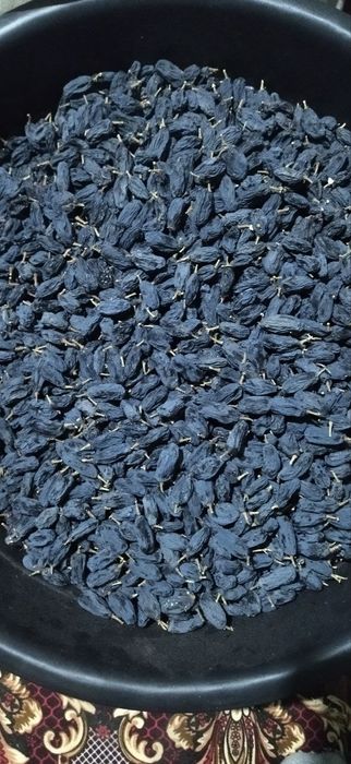 Uzum kóchatlar har hil so'rtlari