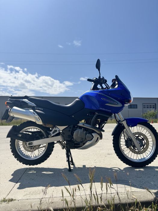 SUZUKI XF650 freewind