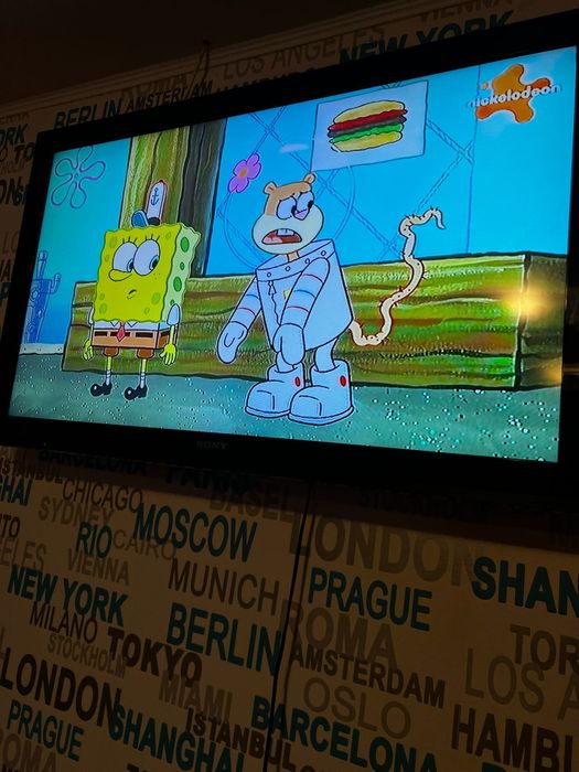 Televizor plasma Sony