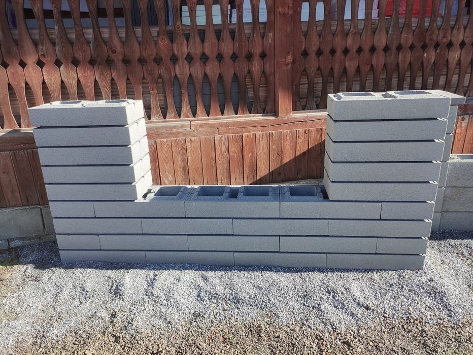 Bolțari modulo din teste