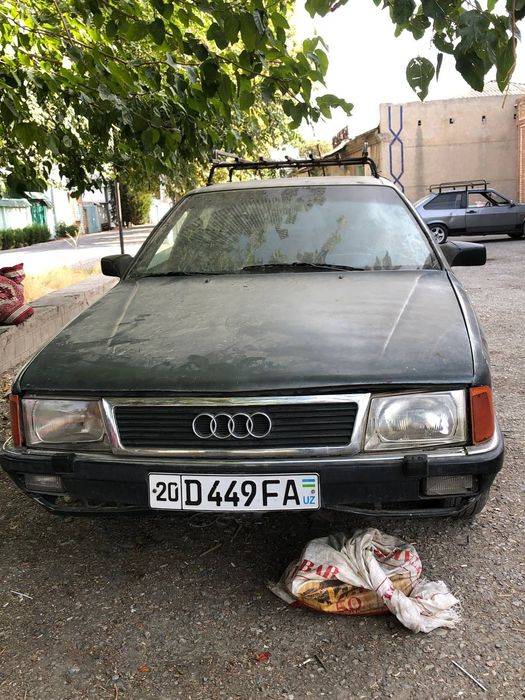Audi 100 na xadu