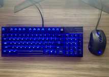 Механична клавиатура и мишка CM QUICK FIRE TK и CM Storm Havoc