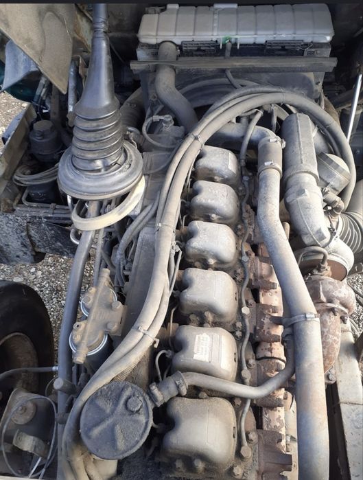 Man forestier complet