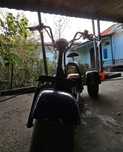CityCoco trike scooter 1000w