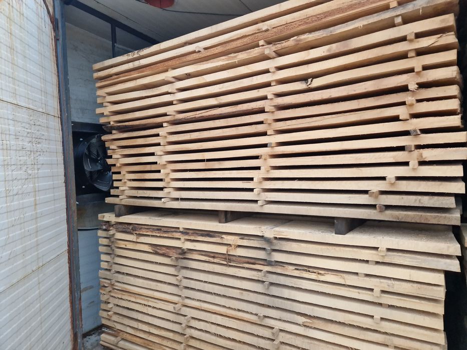 Cherstea stejar si fag