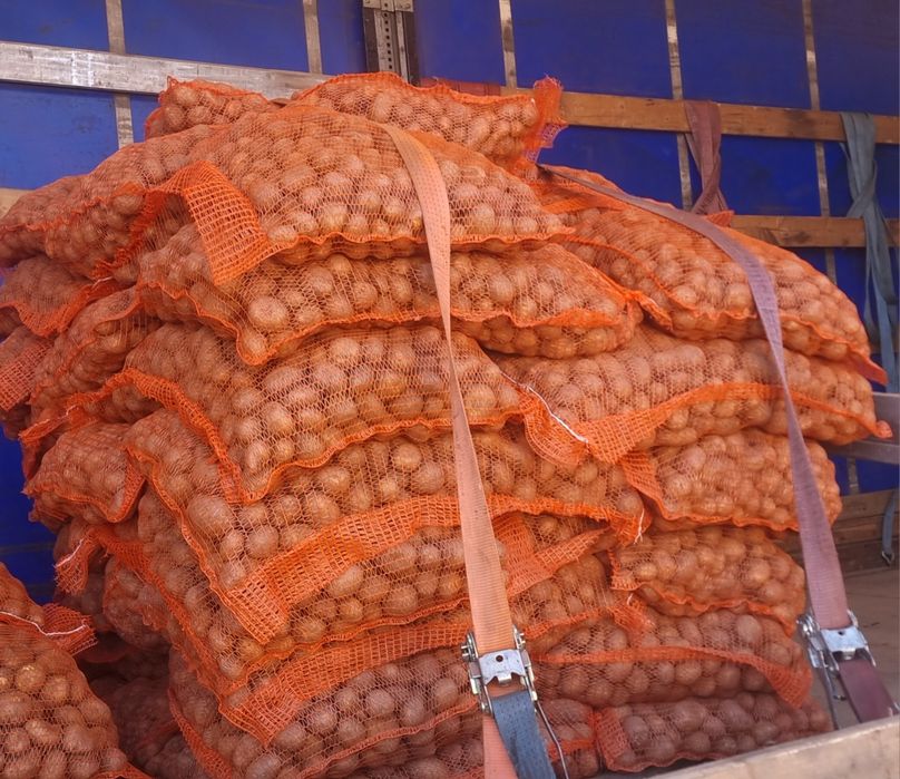 Cartofi animale sau de consum cu transport inclus!