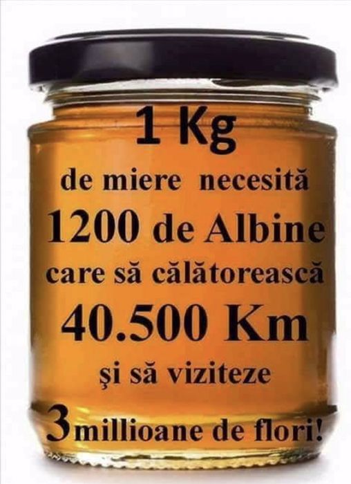 Miere BIO de albine TEI producție 2022