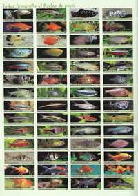 Cartea Acvariul de apa dulce, ghid specii de pesti, acvaristica