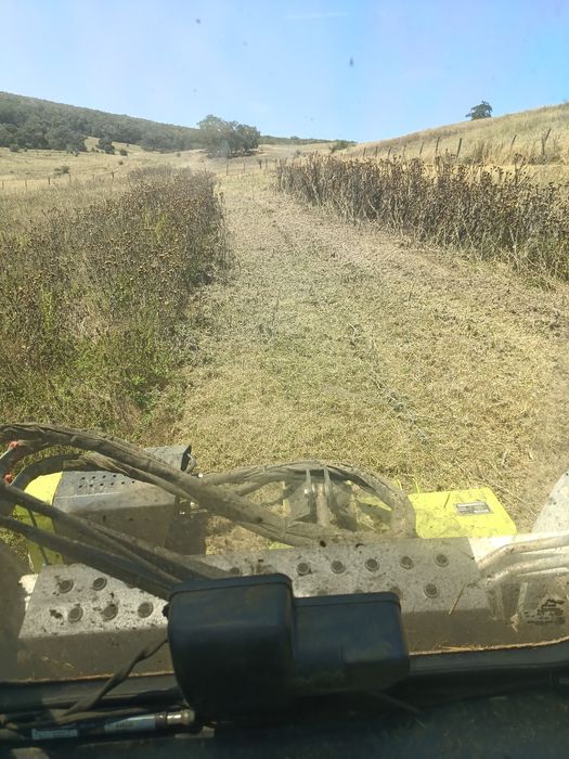 Bobcat senilat cu tocator vegetal - forestier