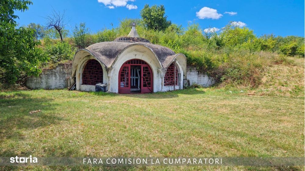 Oportunitate Unica in Domeniul Viticol