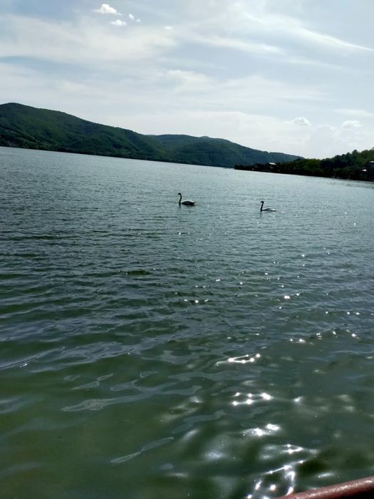 Casă + teren Eselnita Mehedinti