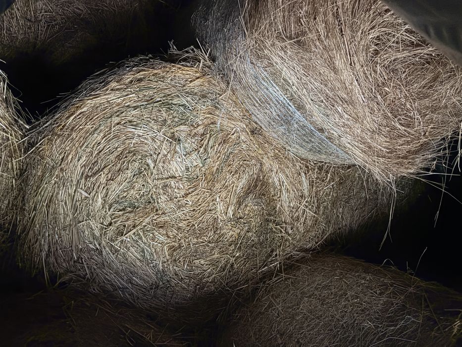 Baloti de fan, lucerna si coceni 120/120