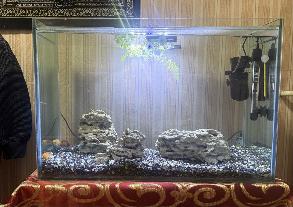 Продам Аквариум 100л