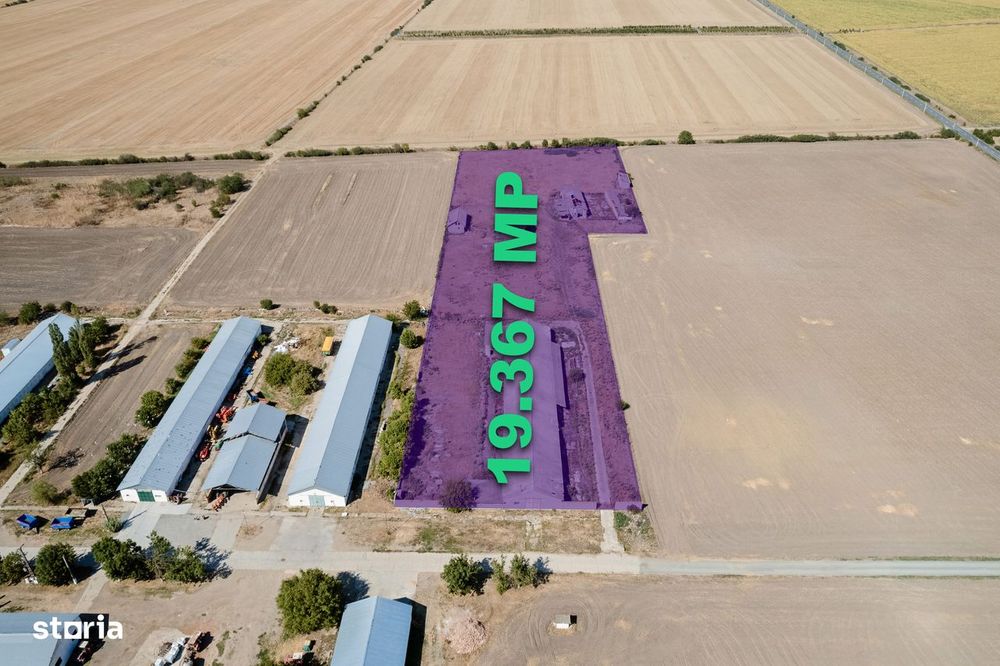 Ferma zootehnica, 19.367 mp,  Vladimirescu